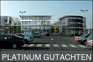 Platinum Gutachten